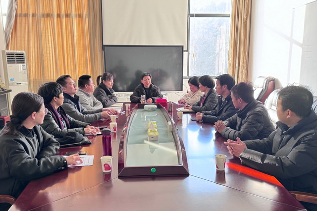 20250207036.jpg 20250207036.jpg