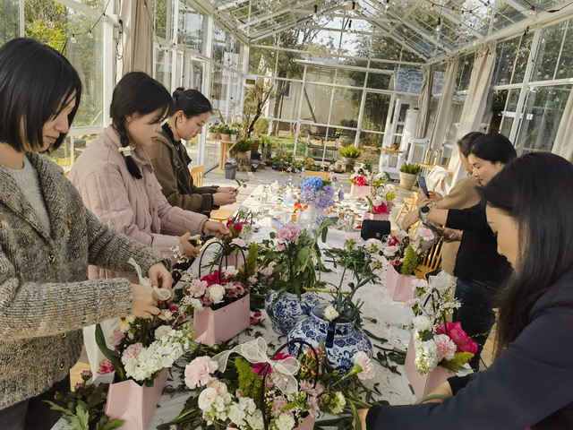 20250617027.jpg 20250617027.jpg